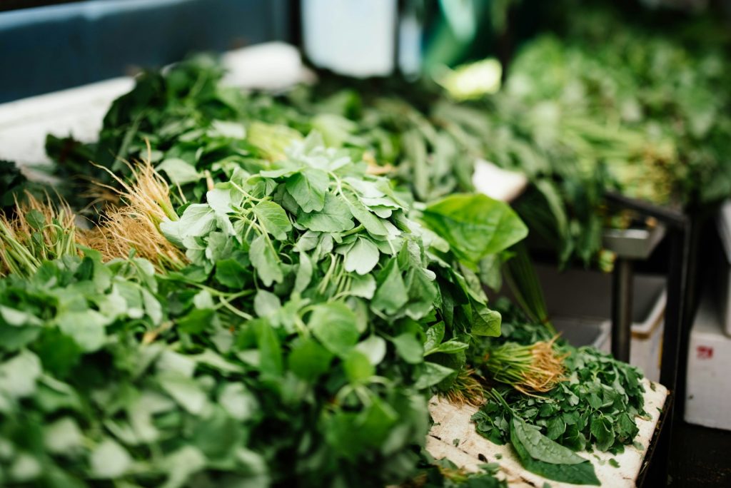 Le persil et ses vertus diurétiques : bienfaits et utilisations en phytothérapie