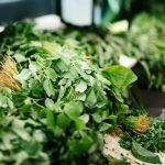 Le persil et ses vertus diurétiques : bienfaits et utilisations en phytothérapie